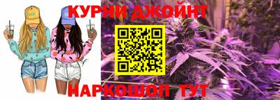 прущие грибы Будённовск