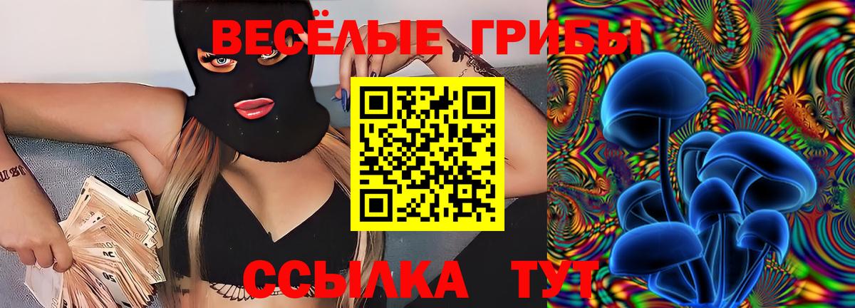 Галлюциногенные грибы MAGIC MUSHROOMS Тейково